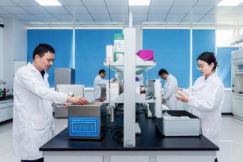 漯河食品工程职业大学获批，中国食品名城迎来本科教育新突破与技术开发新机遇